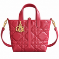 Dior Quilted Cannage Mini Doctor Top Handle Bag with Removable Strap